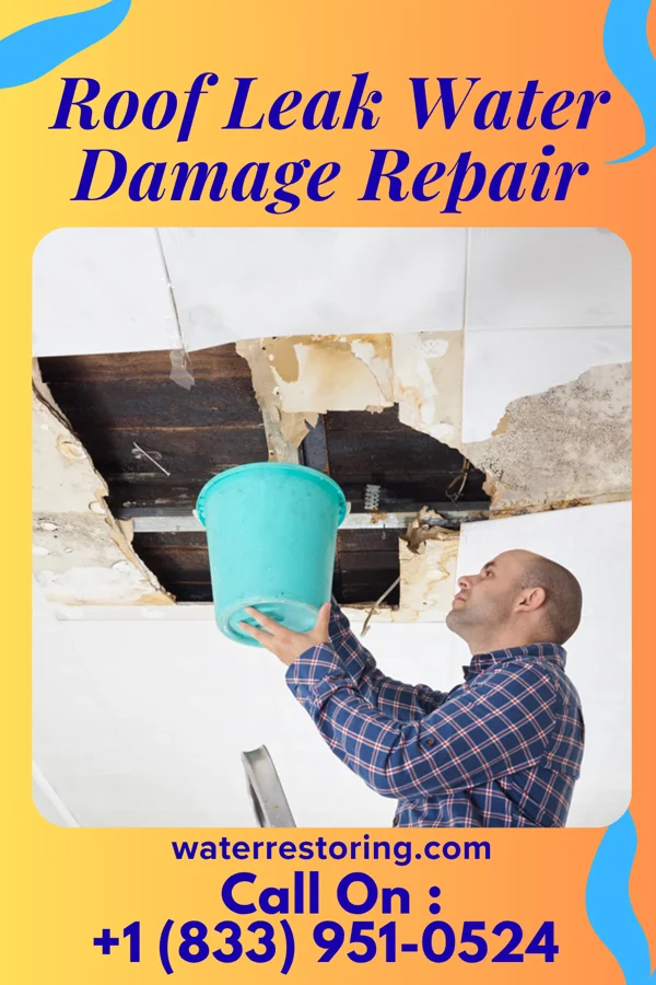 Roof Leak Water Damage Repair in Groveland, FL